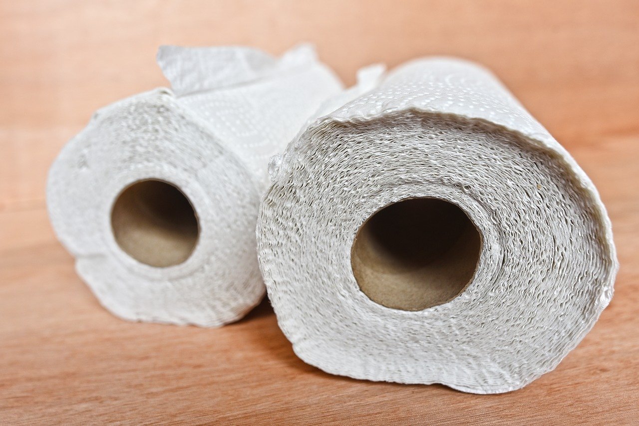 Two rolls of paper towels