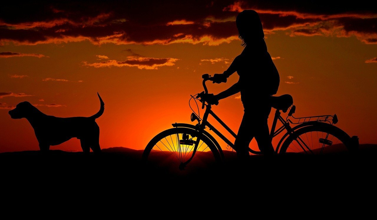Silhouette of a woman holding a bicycle when the sun is going down