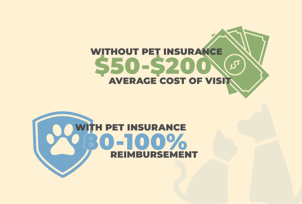 Emergency Savings or Pet Insurance: The Choice is Yours