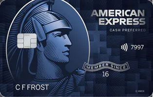 Blue Cash Preferred®️ Card from American Express 